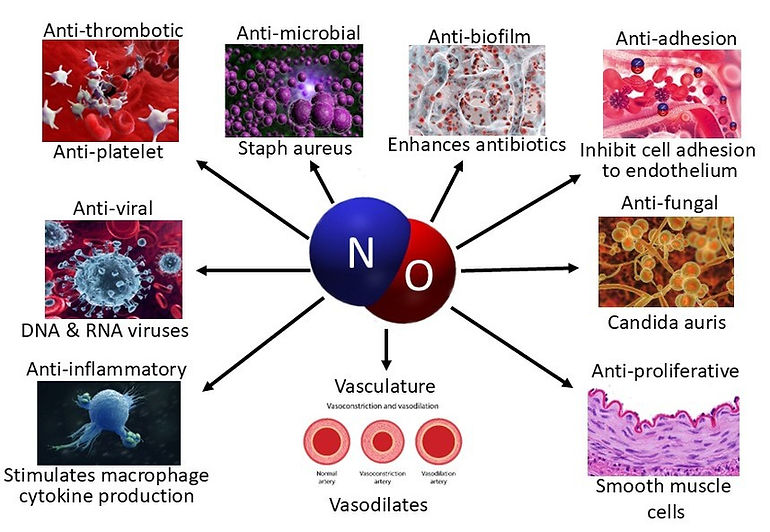 NO Pharmaceutical Properties